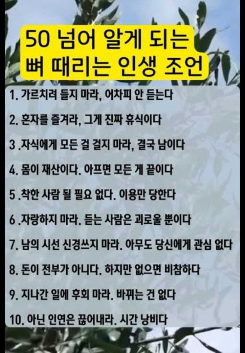 93fc964679be5fd3c9c089bce00d89f0_1770710295_0738.jpg