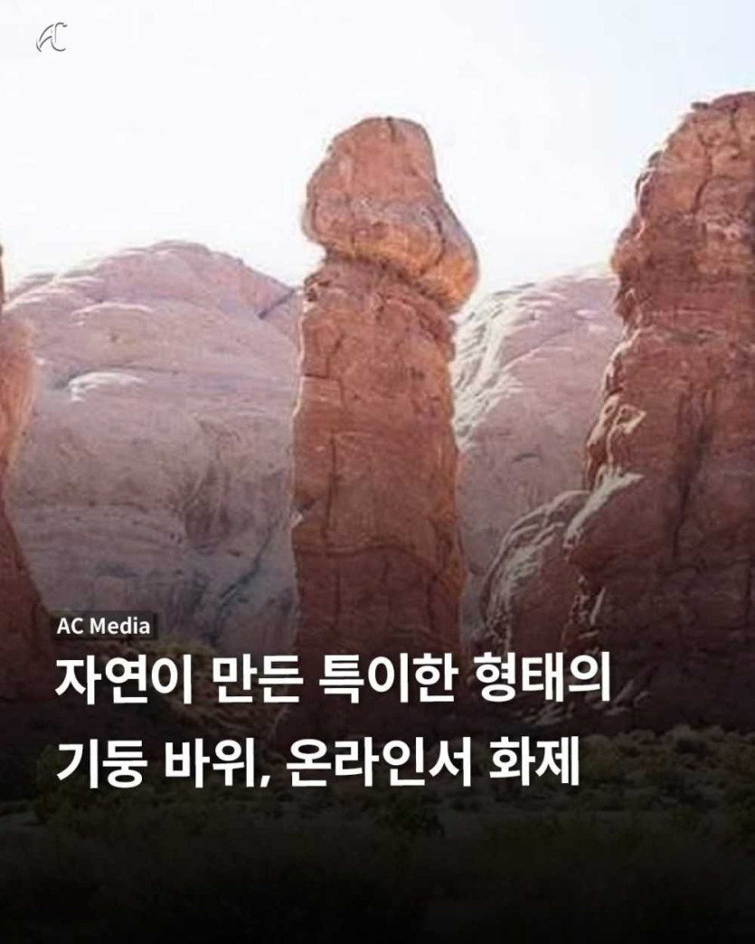 70082fb74ac369236fc90ba45e37d79a_1775639664_4602.jpg